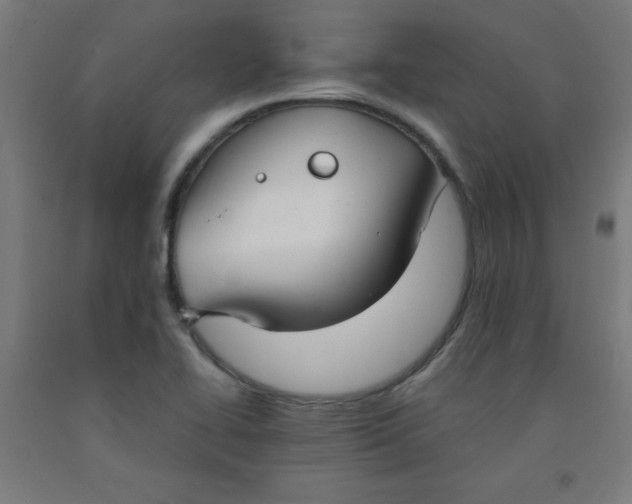 X0000091861414200709261244