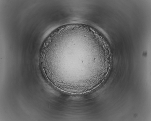 X0000091861415200709261245