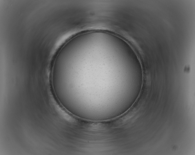 X0000091861416200709261245