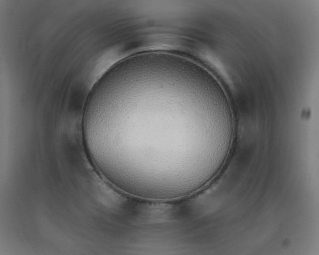 X0000091861417200709261245