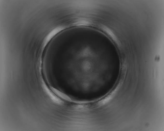 X0000091861418200709261245