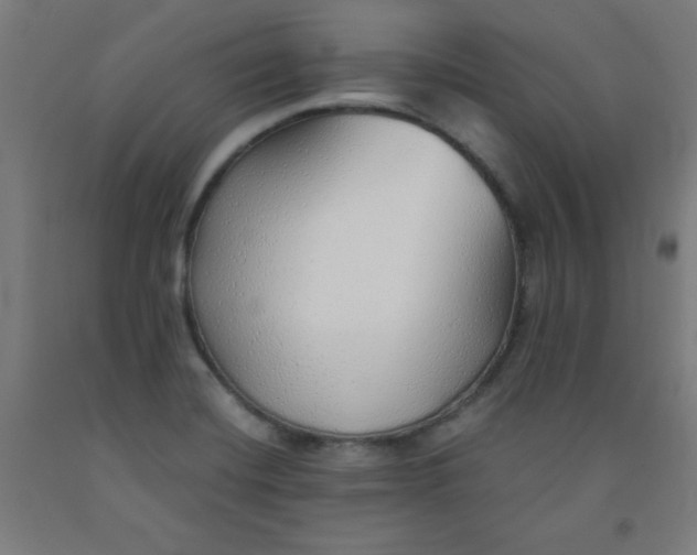 X0000091861420200709261245