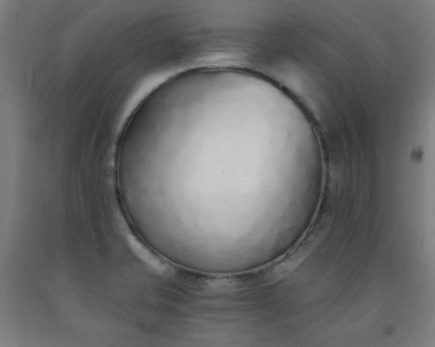 X0000091861421200709261245