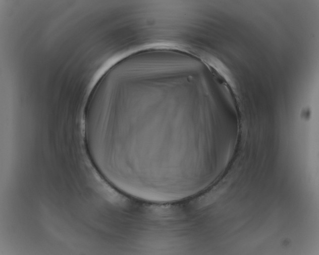 X0000091861428200709261245