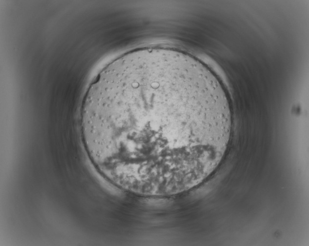 X0000091861429200709261245