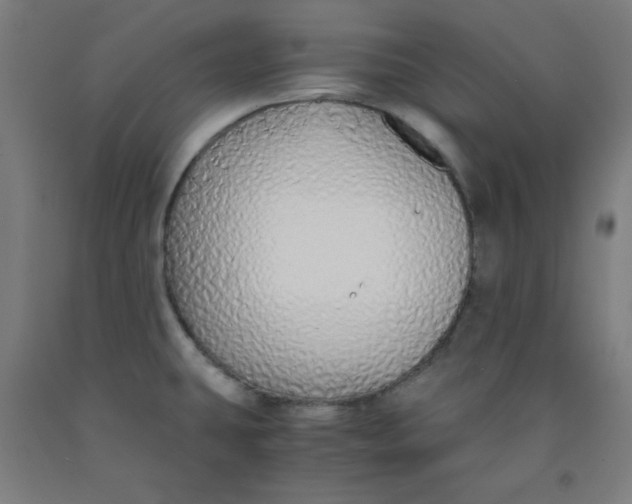 X0000091861431200709261245