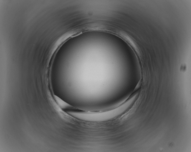 X0000091861434200709261245