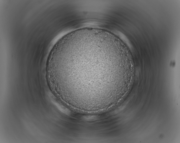 X0000091861435200709261245