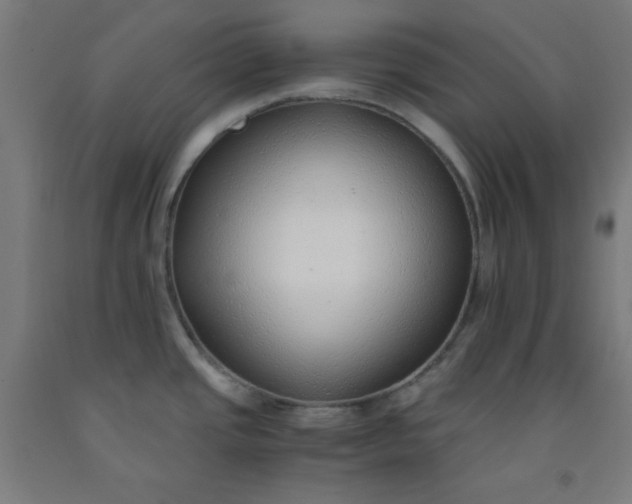 X0000091861437200709261245