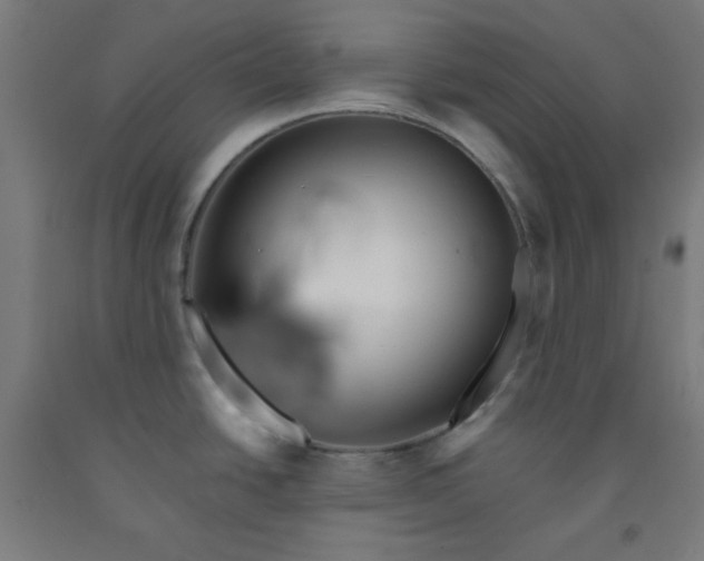 X0000091861438200709261245