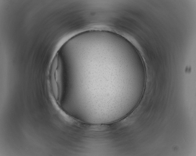 X0000091861440200709261245