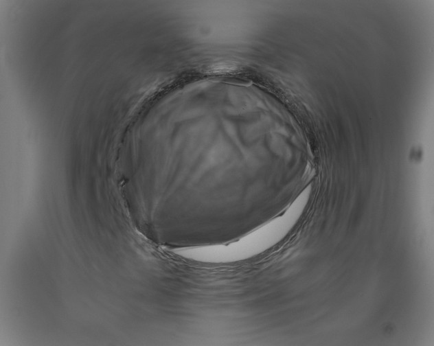 X0000091861441200709261244