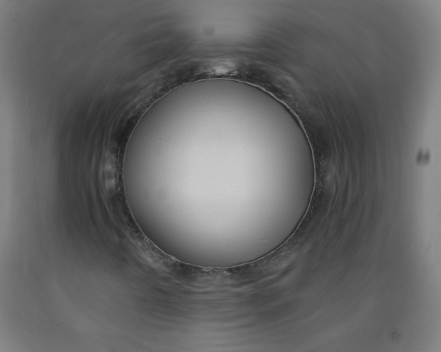 X0000091861442200709261244