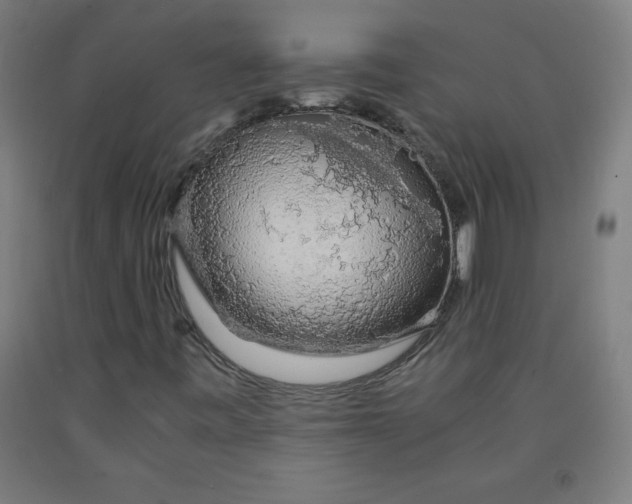 X0000091861443200709261244