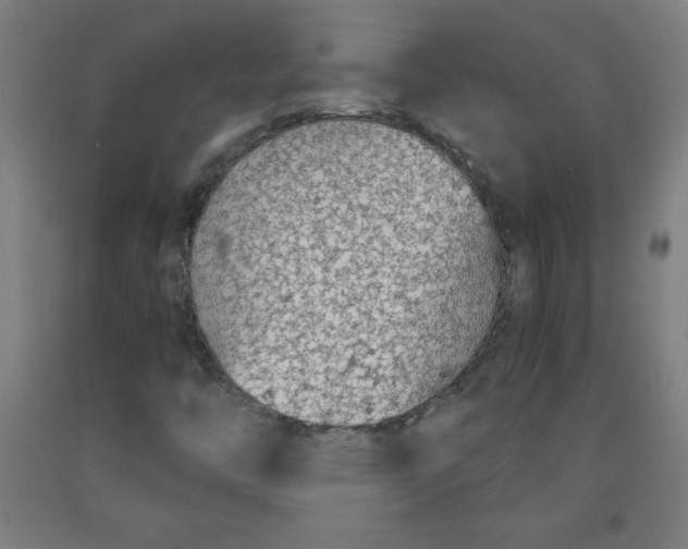 X0000091861446200709261244