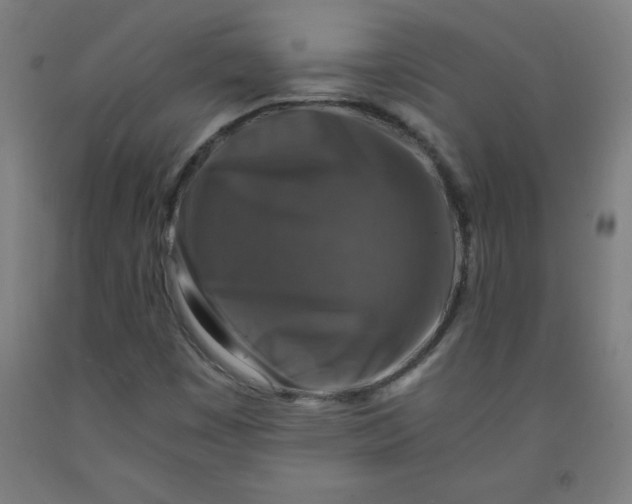 X0000091861449200709261244