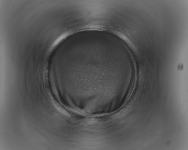 X0000091861450200709261244