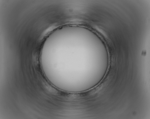 X0000091861451200709261244