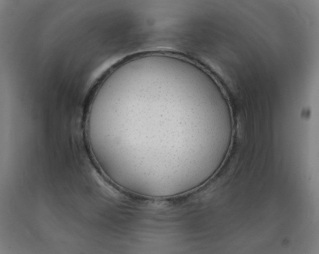 X0000091861452200709261244