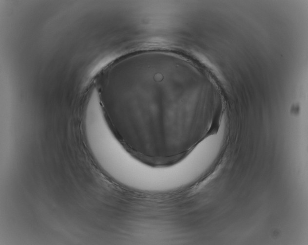 X0000091861453200709261244