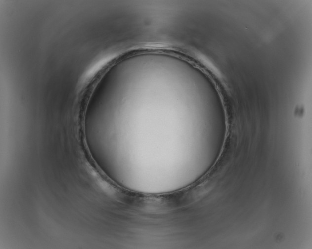 X0000091861456200709261244