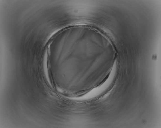 X0000091861457200709261244