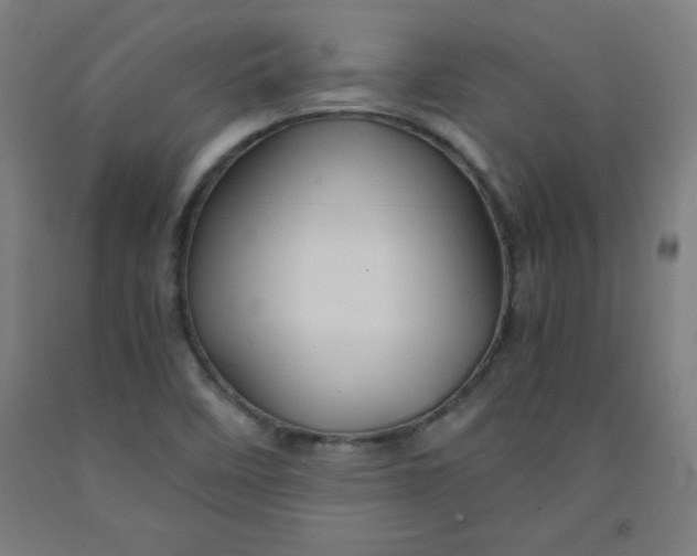 X0000091861458200709261244