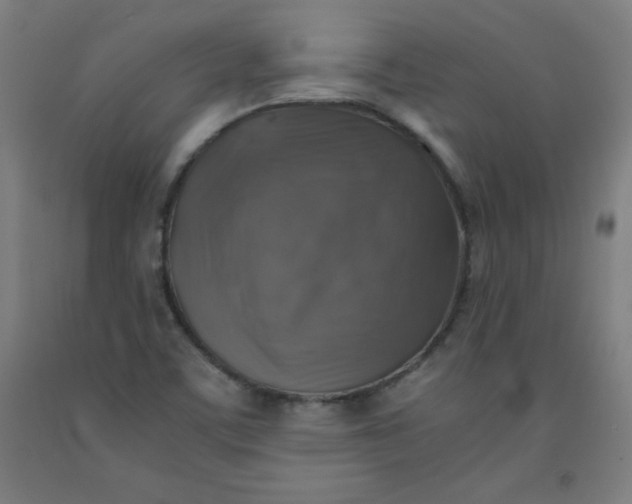 X0000091861459200709261244