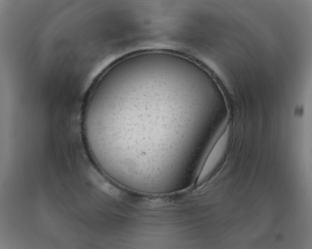 X0000091861460200709261244