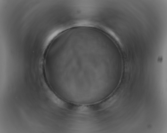 X0000091861463200709261244