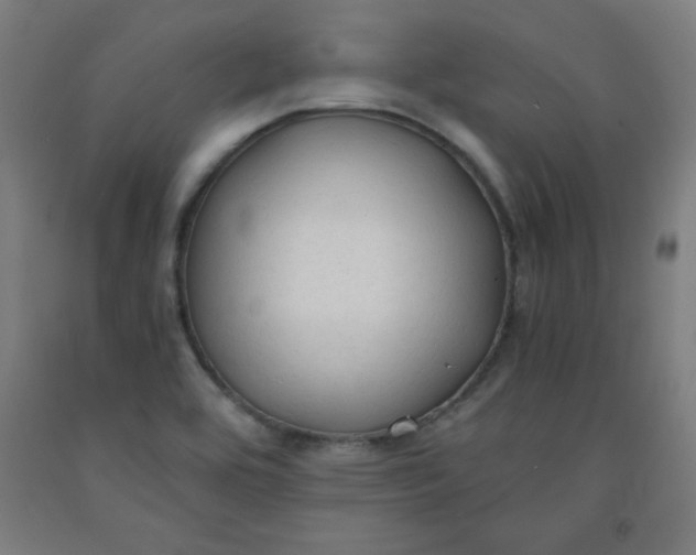 X0000091861464200709261244