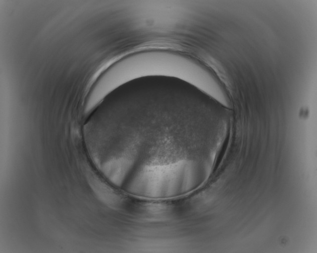 X0000091861465200709261244