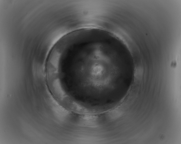 X0000091861466200709261244