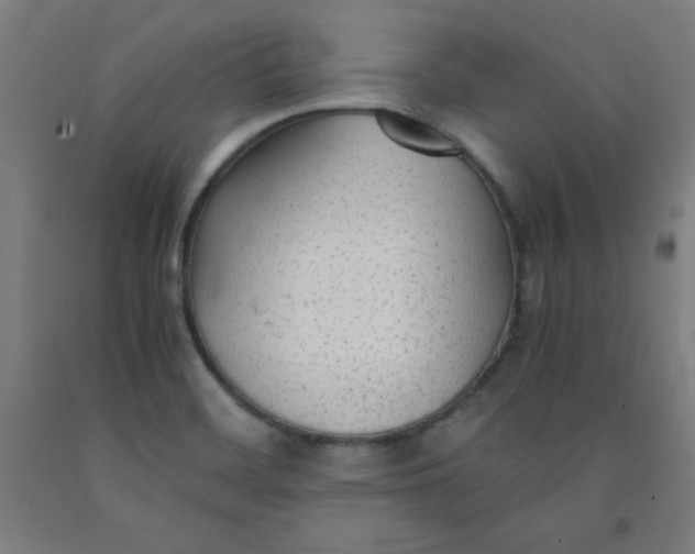 X0000091861468200709261244