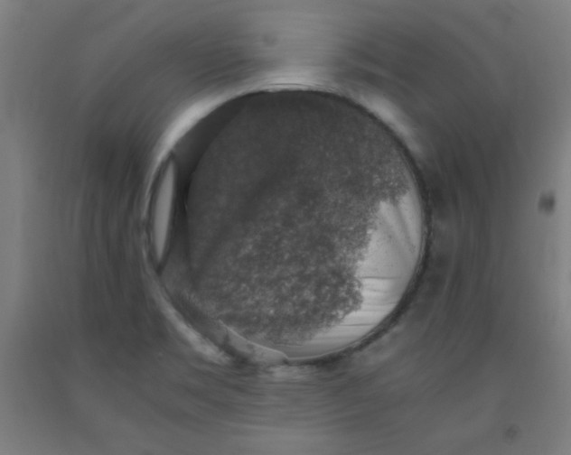 X0000091861469200709261244