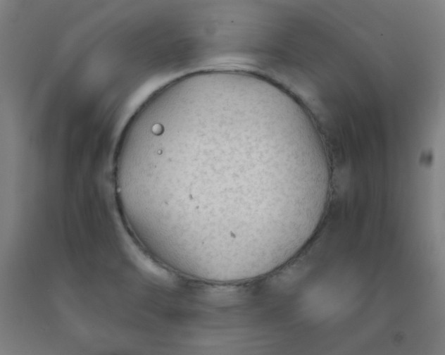 X0000091861470200709261244