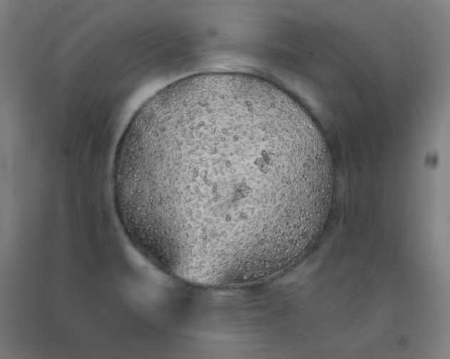 X0000091861471200709261244