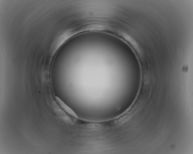 X0000091861473200709261244