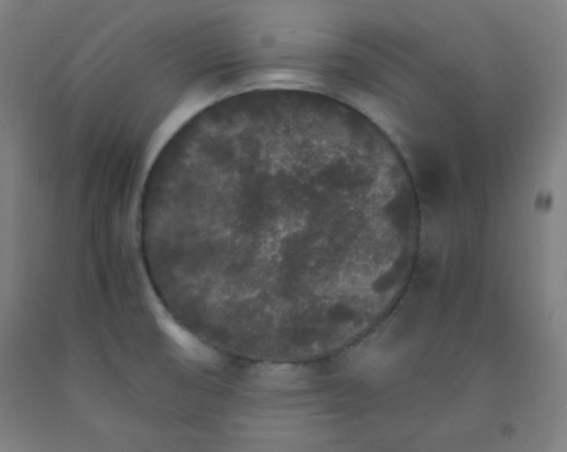 X0000091861474200709261244