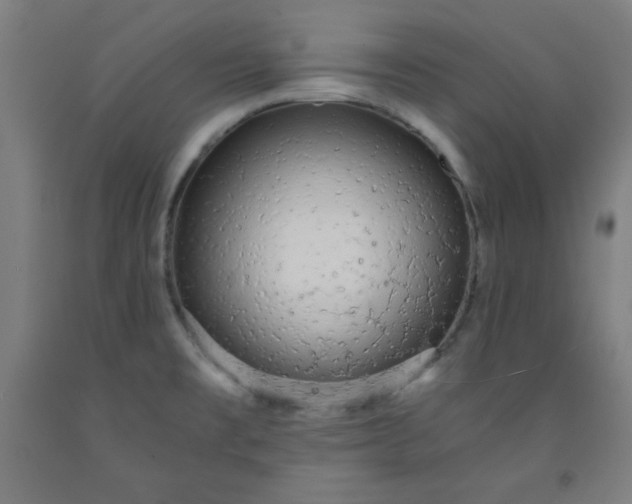 X0000091861477200709261244