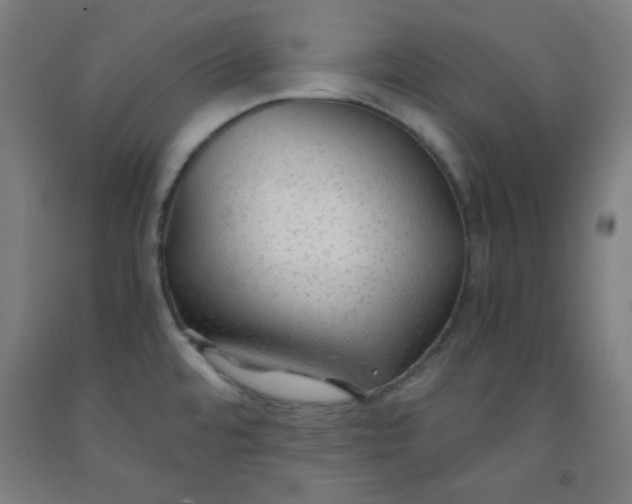 X0000091861480200709261244