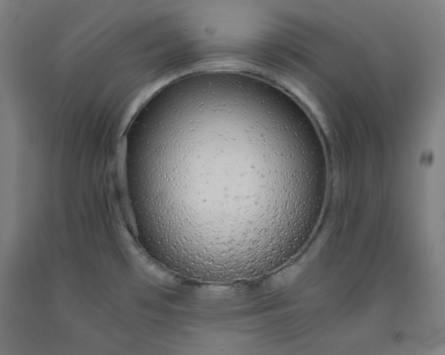 X0000091861481200709261244