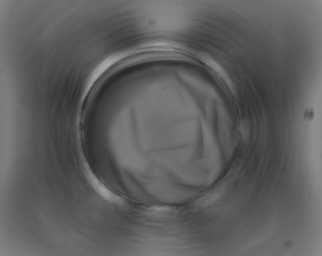 X0000091861482200709261244