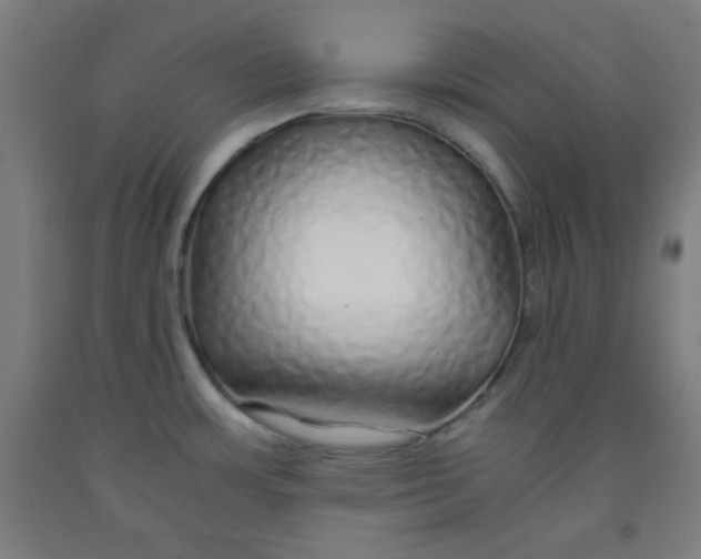 X0000091861483200709261244