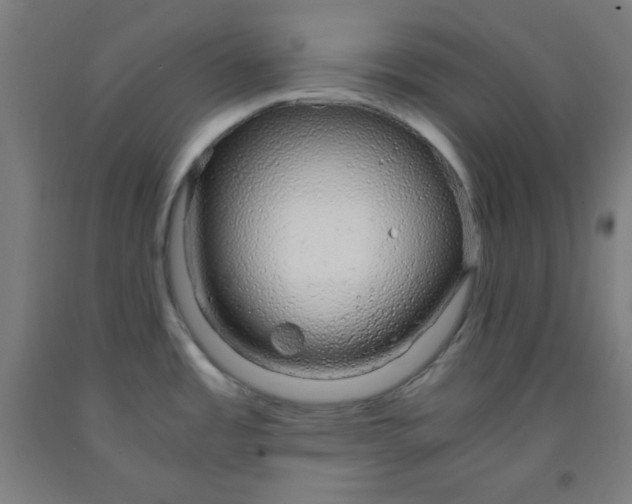 X0000091861485200709261244