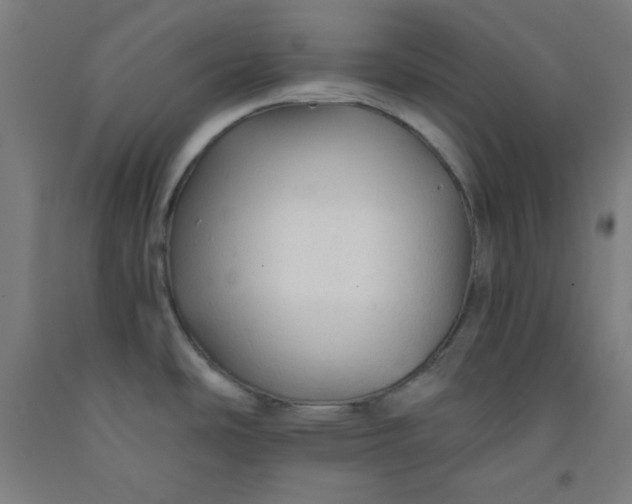 X0000091861486200709261244