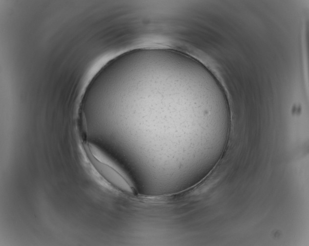 X0000091861488200709261244