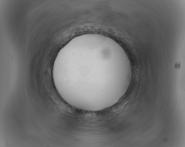 X0000091861489200709261243