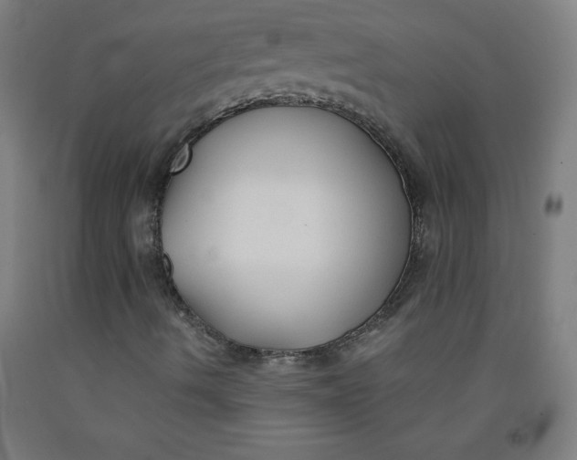 X0000091861490200709261243