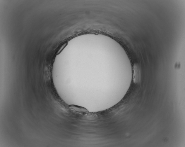 X0000091861491200709261243